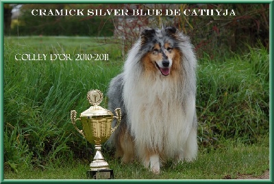 De cathyja - Cramick, Colley d'Or 2010-2011