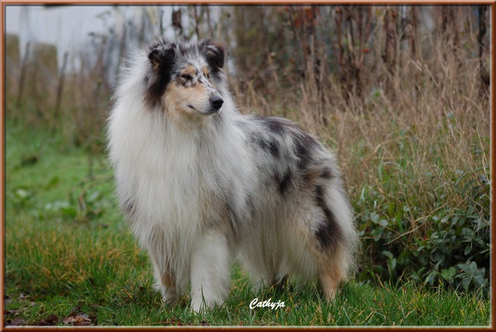 Gorgeous lady De cathyja
